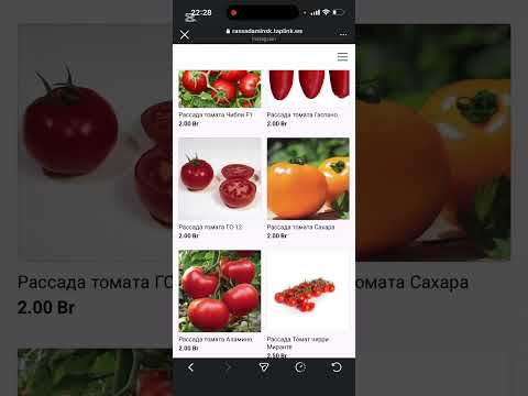 фото рассада овощных культур 0
