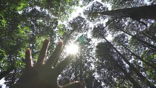 白糸の滝に行ってきた【おしゃれPV 練習】