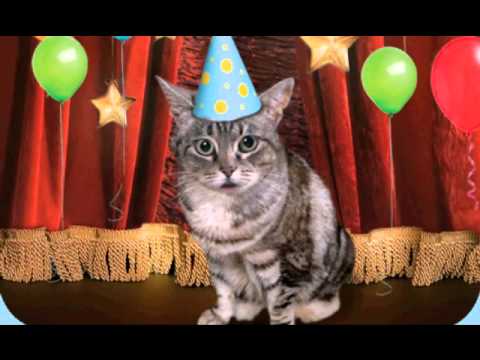 Happy Birthday Lynn!