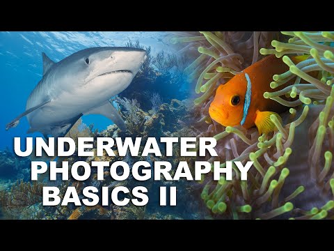 Underwater Photography Basics Part 2