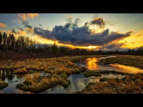 Indecent Noise pres. Mental Asylum - Phobia (Robbie Van Doe Remix)