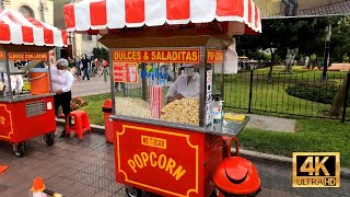 Salty and Sweet Popcorn (Mixed) | American Street Food