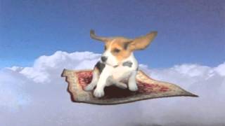 GONNA BUY ME A CONDO