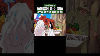 원피스) 눈물 없이 볼 수 없는 29살 핸콕의 신혼 생활! #onepiece #원피스