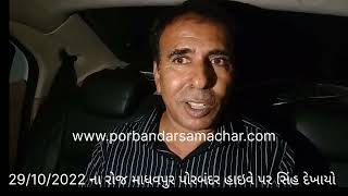 Watch “માધવપુર પોરબંદર હાઇવે પર સિંહ દેખાયો વન વિભાગ સતર્ક” on YouTube