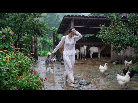 A Young Woman Living on a Mountain Farm | Beautiful Countryside Life