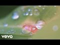 Gilberto Gil - O Pato (Lyric Video)