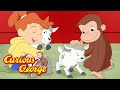 Curious George George Goes To The Farm Kids Cartoon Kids Movies Videos For Kids