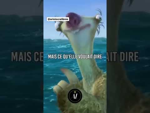 UNE LECON DE CID DE L AGE DE GLACE