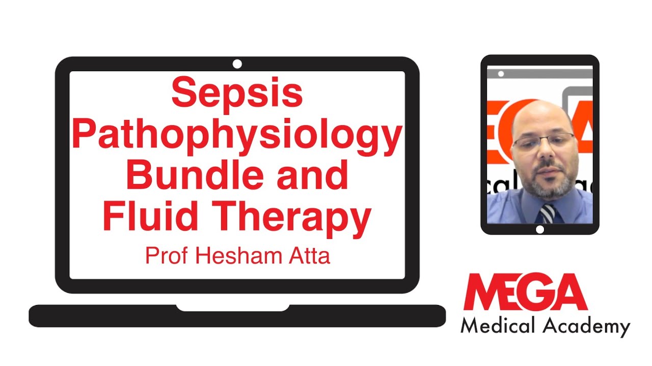 Sepsis Pathophysiology Bundle and Fluid Therapy