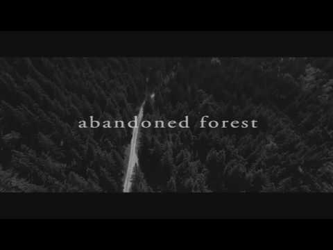 vaghy - abandoned forest