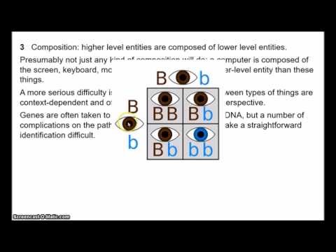 Metaphysics - Levels of Reality