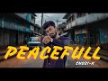 LORENZ RIX PEACEFULL OFFICIAL MUSIC VIDEO Hambantota Lorenz Rix