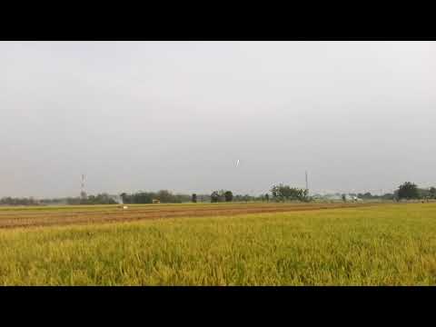 Terbang sore 01112017 #FT Bushwacker Mod