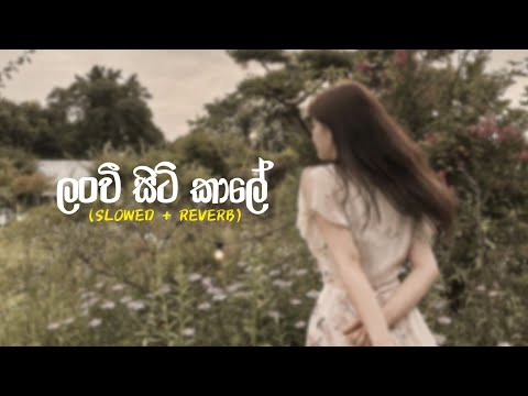 ලංවී සිටි කාලේ - Lanwee Siti Kaale (Slowed + Reverb)