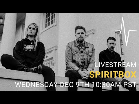 Spiritbox (Mike Stringer and Courtney LaPlante)   |  Neural DSP Q&A #68