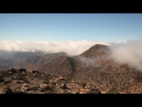 Fog Catcher | The Henry Ford’s Innovation Nation