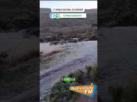 Frio intenso congela vegetação e registra geada no Parque Nacional do Caparaó - VEJA