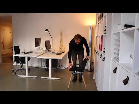 ErgoZit Review Aeris Numo