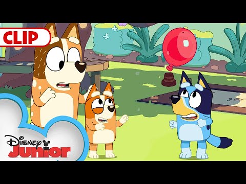 Bluey Season 1 Episode 3 "Keepy Uppy" Episode Clip | @disneyjr​ | Bluey​