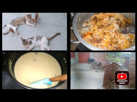 today routine/biryani/caramel firni/ village main zalabari hoi/#busyroutine #viral #aneelanaseem