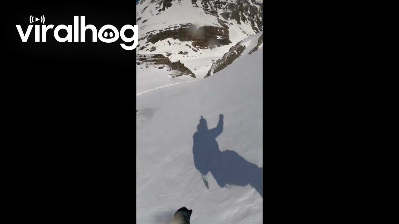 Snow Mountain Day With My Border Collie || ViralHog
