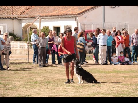 Feria Canina, de Artesanía y Alimentación en Villar de Peralonso