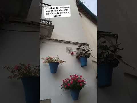 LA CALLEJA  DE LAS FLORES: UNA DE LAS CALLES MÁS POPULARES DE CÓRDOBA. España.