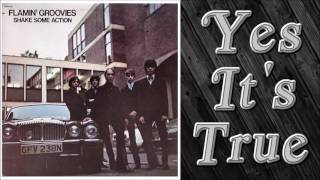 Flamin&#39; Groovies - Yes It&#39;s True