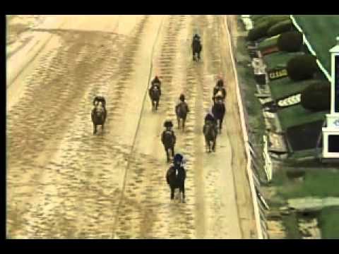 Pimlico 04/12/13 Race 9