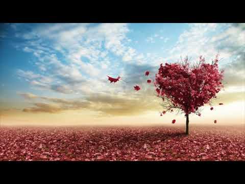 Kalbim Kırmızı | Yeni Türkü