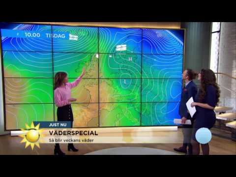 Meteorologen: Väldigt tidiga vårtecken - Nyhetsmorgon (TV4)
