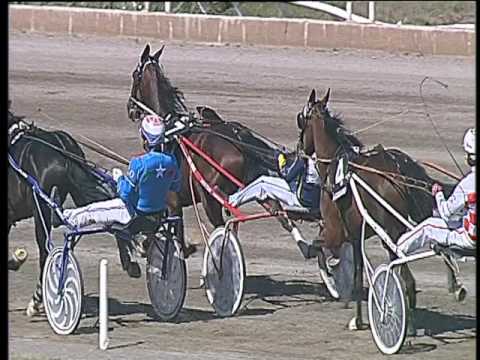 Trotto 29/04/2017 - 3ª corsa