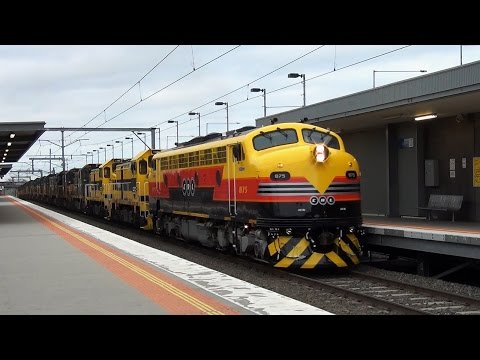 16 Loco Light Engine - SSR Loco Transfer Geelong - Seymour