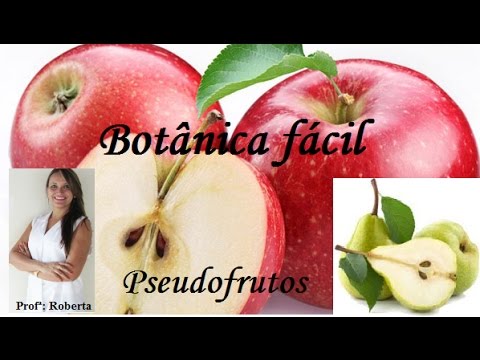 Botânica Fácil. PSEUDOFRUTOS. Maçã e pêra.