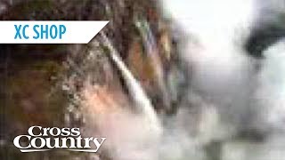 Paragliding: Never Ending Thermal Trailer