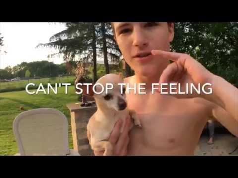 CAN'T STOP THE FEELING - Justin Timberlake Cover | Alex B.