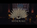 SONIC ENCHANTMENT AT THE MANDRAKE
