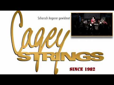 Cagey Strings 2017 GEORGE GEWIDMET Biel Bienne SWISS