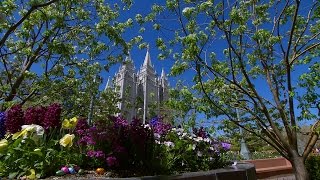 Saturday Afternoon Session