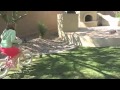 Pocket Full Of Sunshine Music Video