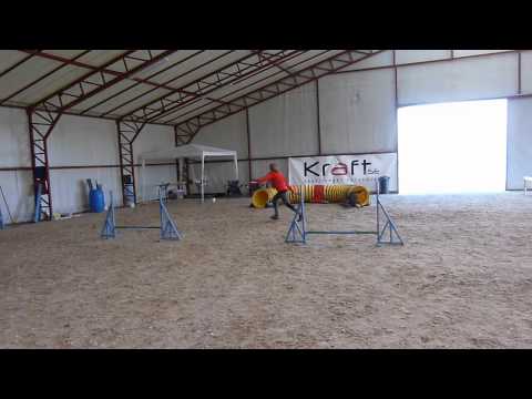 Nugát training 2015.01.31