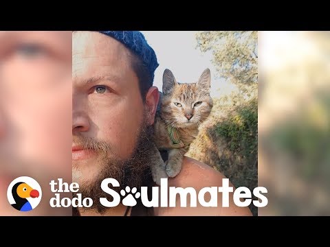 Road Adventures: Adopted Kitten and Man Travel Together on a Bike