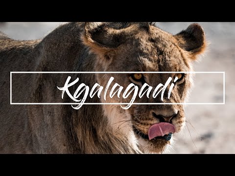 Kgalagadi Episode 3 - Kalahari Tented Camp