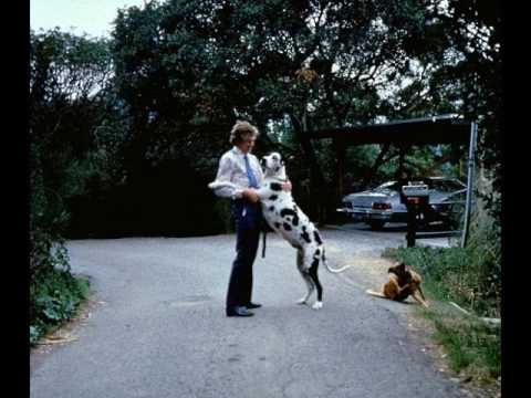 JOHN HOLMES: A LIFE MEASURED IN INCHES - Interview with co-biographer, Jill C. Nelson - PART 2