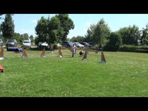 Renate und Luci beim IRJGV Agility Cup in Dietenheim am 21.07.13