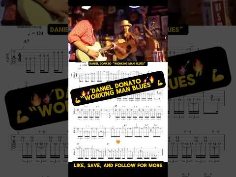 Steve Mcdonagh - Working Man Blues - Misc Your…