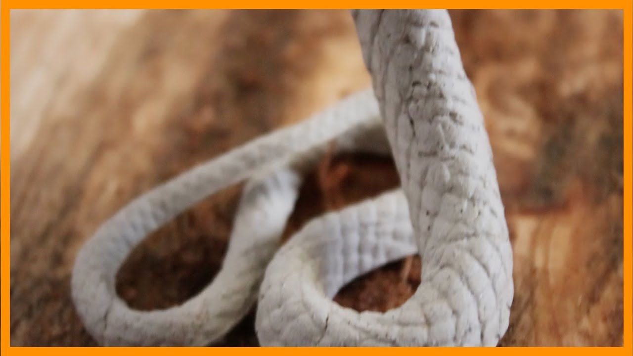 Verre à queue de Serpent - COMMENT MOULER UN VERRE A VIN  -