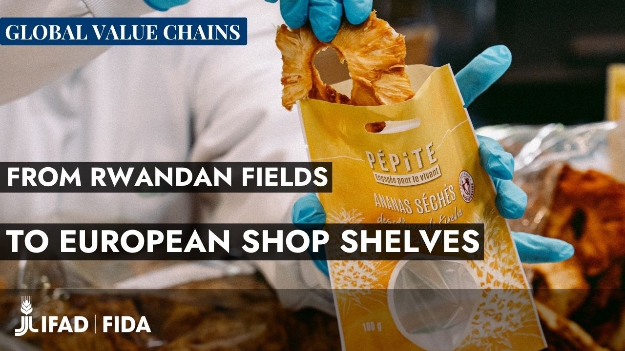 France-Rwanda: dried pineapples at the heart of a global value chain