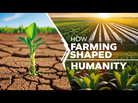 The Origins of Agriculture Explained: How Farming Shaped Civilization